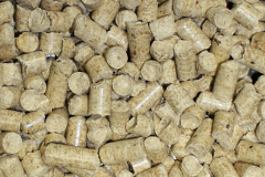 Wrinkleberry biomass boiler costs
